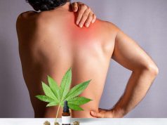 CBD for Athletes: Best CBD for Muscle Recovery and Pain Relief