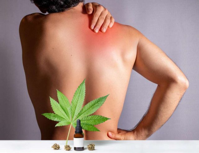 CBD for Athletes: Best CBD for Muscle Recovery and Pain Relief