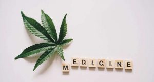 Cannabis And Cognitive Function: Debunking Myths And Revealing The Truth