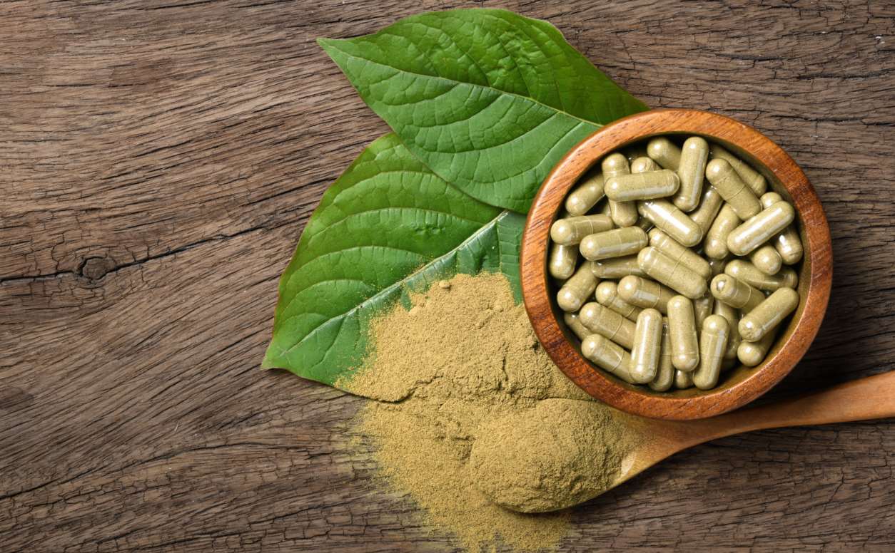 Exploring Green Vein Kratom - Curious Mind Magazine