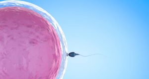 Everything You Need To Know About Infertility