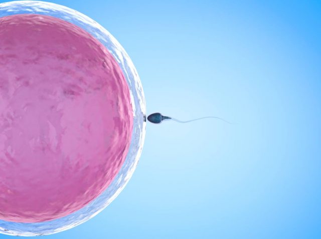 Everything You Need To Know About Infertility