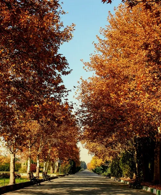 Pros and Cons of Moving to Marlborough, MA