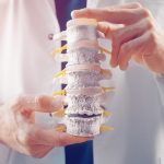 doctor-demonstrates-departments-spine-vertebrae-hernia-its-injuries