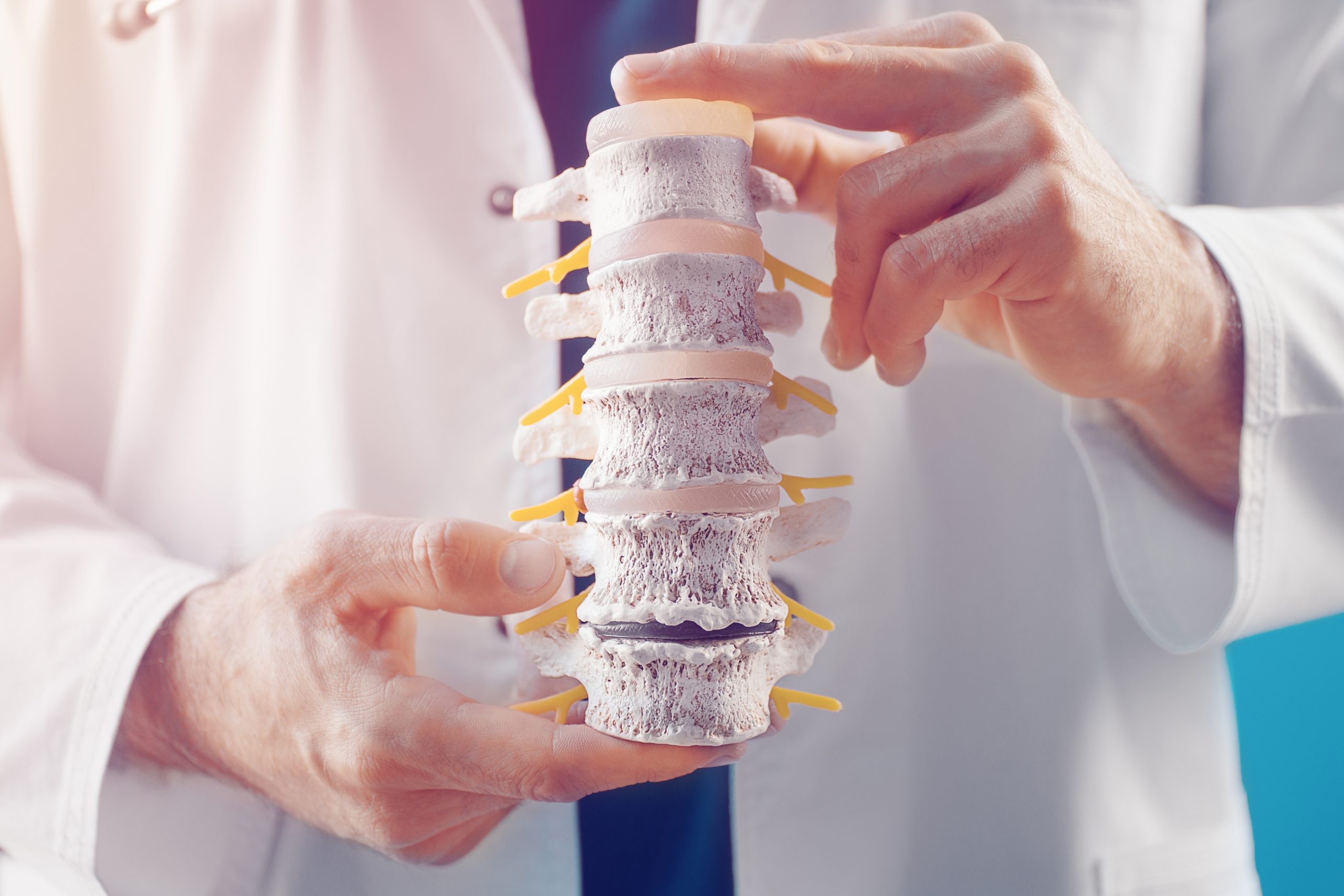 female doctor holding spine model and truing to realize where is patient's painful place.