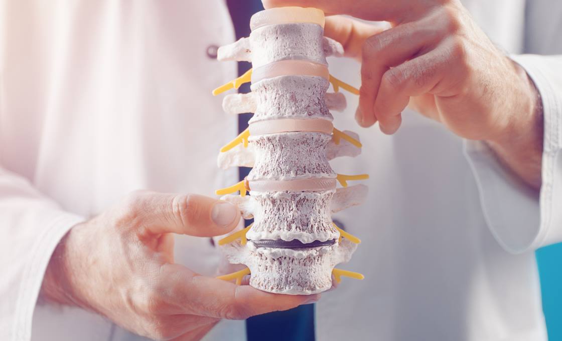female doctor holding spine model and truing to realize where is patient's painful place.