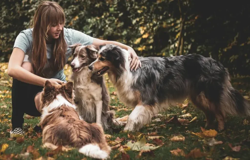 Understanding Your Dog’s Nutritional Needs: A Beginner’s Guide