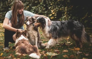 Understanding Your Dog’s Nutritional Needs: A Beginner’s Guide