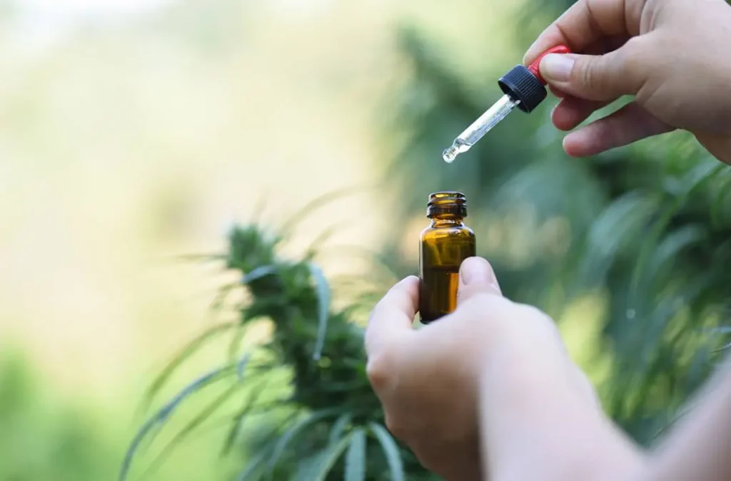 Decoding Delta-8 THC: What You Need to Know