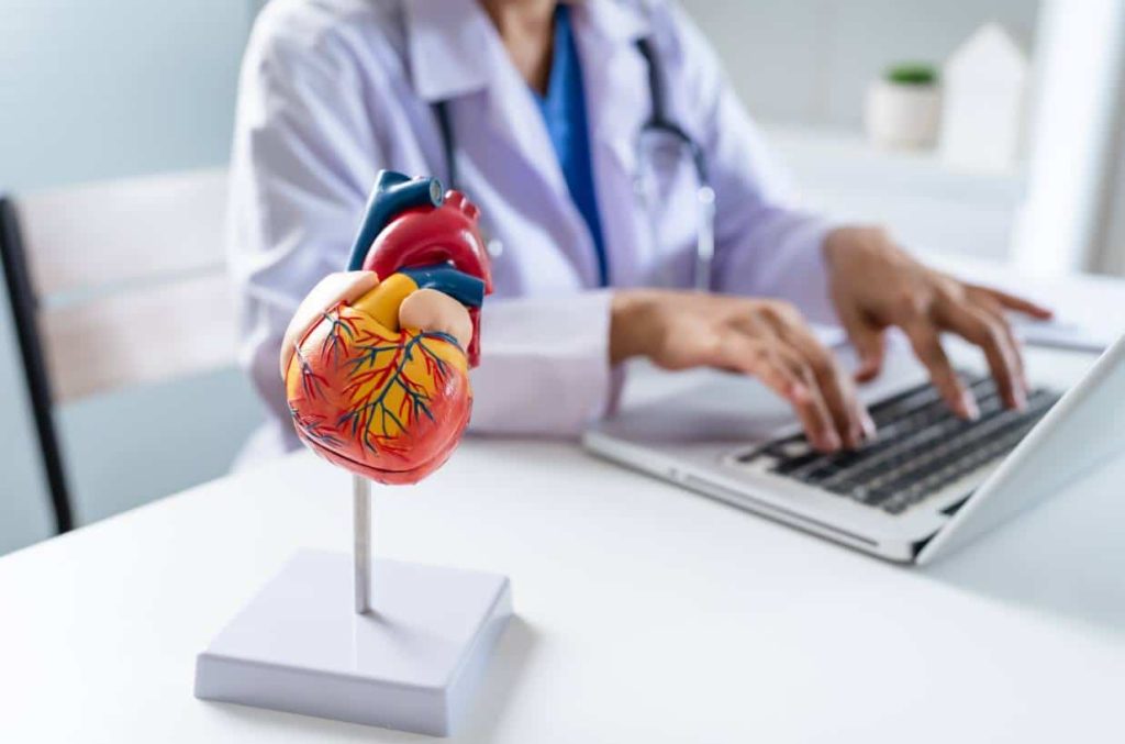 Understanding the Connection Between Diet and Blood Circulation: Strategies for a Healthier Vascular System