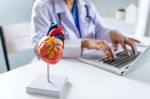 Understanding the Connection Between Diet and Blood Circulation: Strategies for a Healthier Vascular System