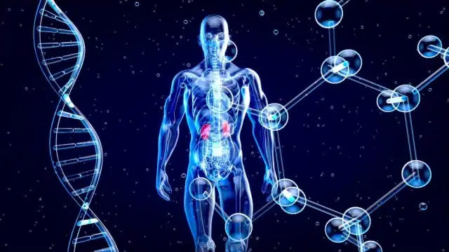 Choosing the Right Metabiotic