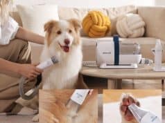 How to Choose the Best Dog Grooming Clippers for Your Pet A Buyers Guide