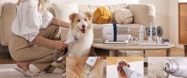 How to Choose the Best Dog Grooming Clippers for Your Pet A Buyers Guide