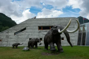 Woolly Mammoth News: How the Colossal Foundation Is Leveraging Its De-Extinction Technology