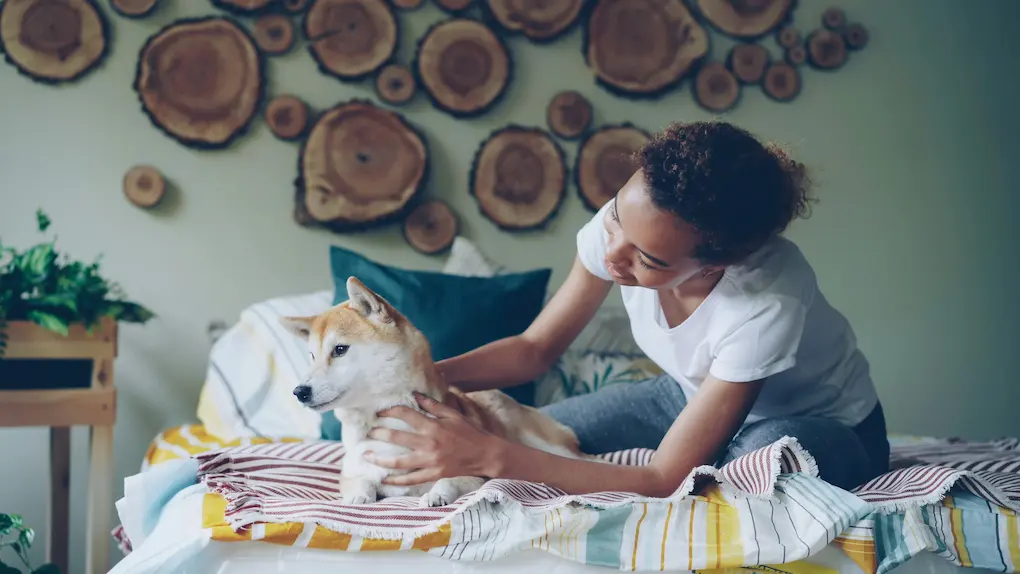 Protect Your Passion: Why Pet Sitting Insurance Is Essential