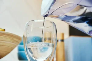 Top Myths About Water Filter Pitchers: What’s True And What’s Not?