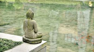 Creating a Personalized Meditation Space for Relaxation