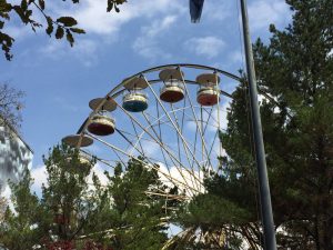 Nature, Nostalgia, and New Adventures: What Awaits in Pigeon Forge