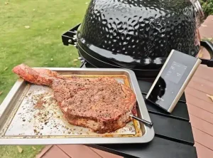 Perfect BBQ Every Time with a Smart Thermometer
