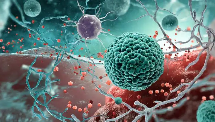 Why Early Imaging Insights Can Lead To Better Oncology Trial Endpoints