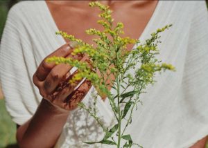 The Benefits of Plant Medicine for High-Achieving Individuals