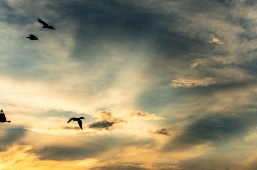 Why James River Church’s 21-Day Fast Is Tapping Into a Broader Cultural Hunger for Meaning