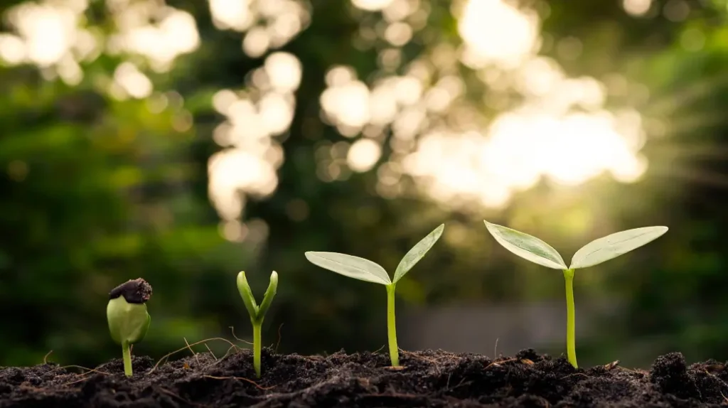 3 Essential Books That Launched the Sustainable Business Movement