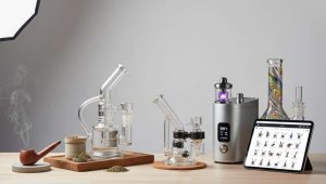 How to Choose the Right Smoking Device Based on Your Personality Type