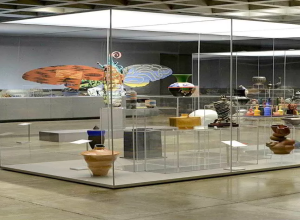 3 Prominent Reasons Why Museum Display Cases are Essential for Protecting Australian Heritage
