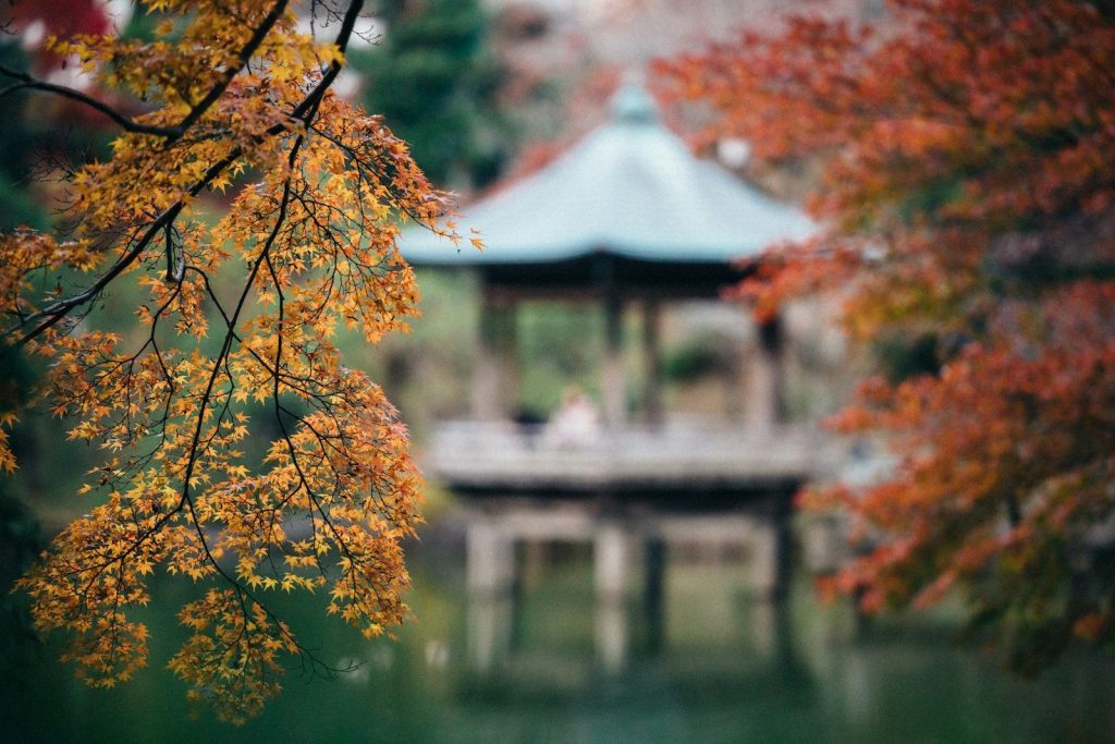 Best Places to See Autumn Leaves Japan – Guide to Koyo Season