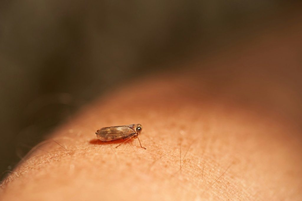 a close up of a person's arm with a bug on it