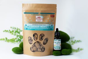 Common Mistakes Owners Make When Buying Specialty Pet Food