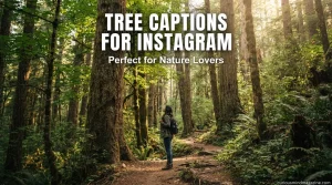 775+ Tree Captions for Instagram Perfect for Nature Lovers